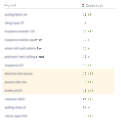 KeywordRanking_Img13 SEO Keyword Ranking Improvement - Keyword Results 2